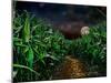 Dark Corn Field-null-Mounted Premium Photographic Print