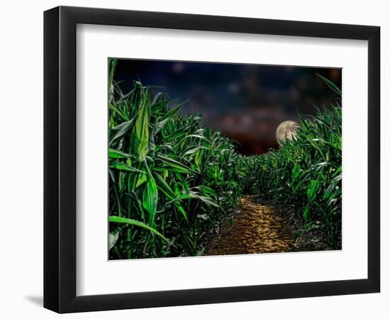 Dark Corn Field-null-Framed Photographic Print