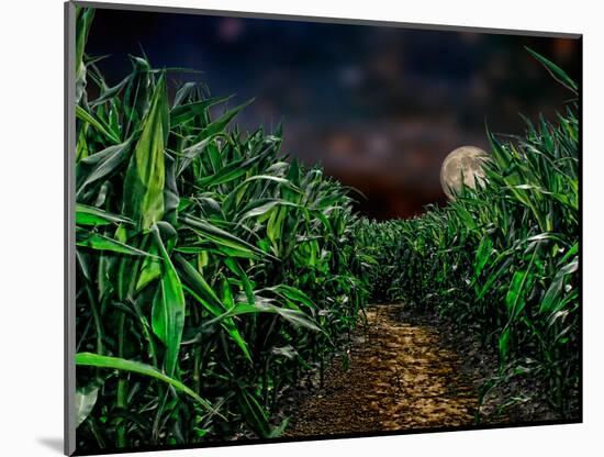 Dark Corn Field-null-Mounted Photographic Print