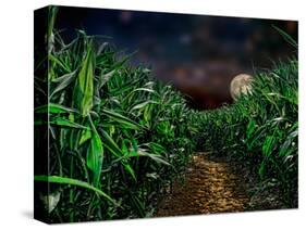 Dark Corn Field-null-Stretched Canvas