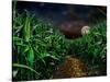 Dark Corn Field-null-Stretched Canvas