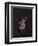 Dark & Dreamy I-Renée Stramel-Framed Premium Photographic Print