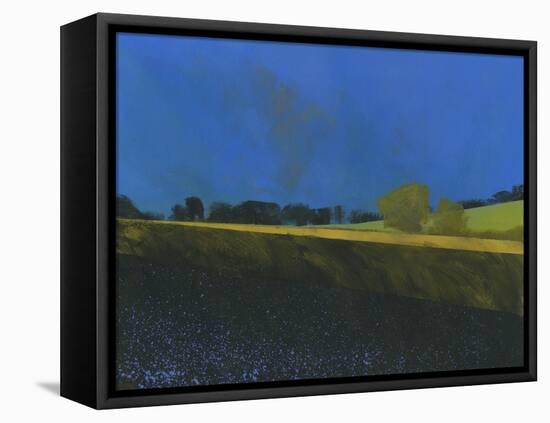 Dark Earth-Paul Bailey-Framed Stretched Canvas