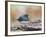 Dark-Eyed Junco-Gary Carter-Framed Photographic Print