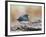 Dark-Eyed Junco-Gary Carter-Framed Photographic Print