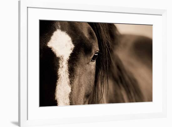 Dark Eyes-Lisa Dearing-Framed Art Print