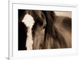 Dark Eyes-Lisa Dearing-Framed Art Print