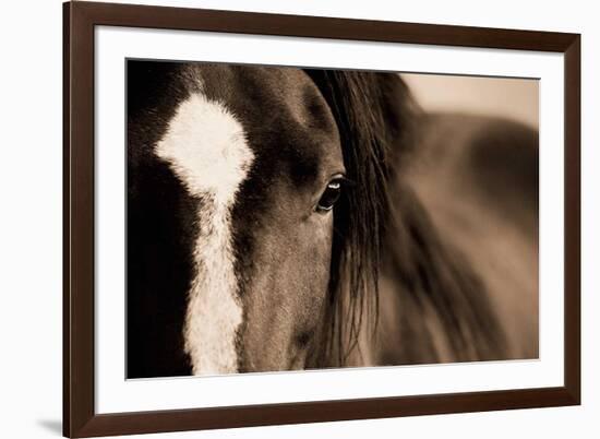 Dark Eyes-Lisa Dearing-Framed Art Print