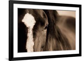 Dark Eyes-Lisa Dearing-Framed Art Print