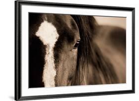 Dark Eyes-Lisa Dearing-Framed Art Print