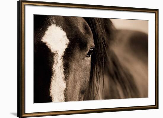 Dark Eyes-Lisa Dearing-Framed Art Print