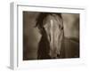 Dark Eyes-Barry Hart-Framed Art Print