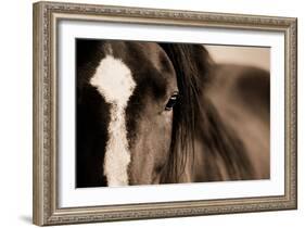 Dark Eyes-Lisa Dearing-Framed Photographic Print