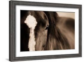 Dark Eyes-Lisa Dearing-Framed Photographic Print