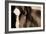 Dark Eyes-Lisa Dearing-Framed Photographic Print