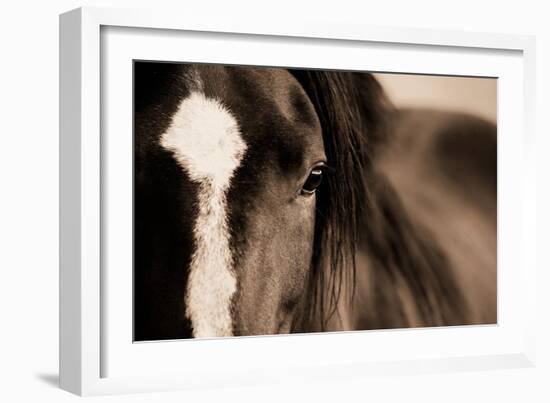 Dark Eyes-Lisa Dearing-Framed Photographic Print