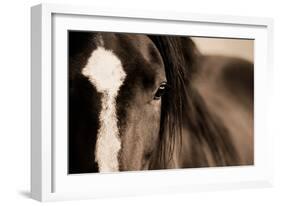 Dark Eyes-Lisa Dearing-Framed Photographic Print