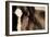 Dark Eyes-Lisa Dearing-Framed Premium Photographic Print