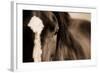 Dark Eyes-Lisa Dearing-Framed Photographic Print