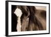 Dark Eyes-Lisa Dearing-Framed Photographic Print