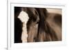 Dark Eyes-Lisa Dearing-Framed Photographic Print