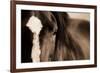 Dark Eyes-Lisa Dearing-Framed Photographic Print