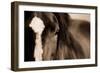 Dark Eyes-Lisa Dearing-Framed Photographic Print