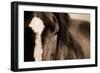 Dark Eyes-Lisa Dearing-Framed Photographic Print