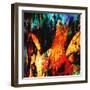 Dark Fish-Ursula Abresch-Framed Photographic Print