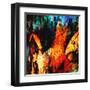 Dark Fish-Ursula Abresch-Framed Premium Photographic Print