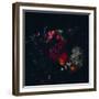 Dark Floral  2019  (mixed media)-Helen White-Framed Giclee Print