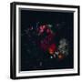 Dark Floral  2019  (mixed media)-Helen White-Framed Giclee Print