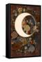 Dark Floral Lunar Eclipse-null-Framed Stretched Canvas