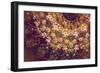 Dark Floral Mandala-null-Framed Premium Giclee Print