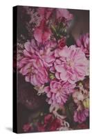 Dark Floral-Sarah Gardner-Stretched Canvas