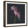 Dark Florals-Sarah Gardner-Framed Photo