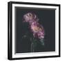 Dark Florals-Sarah Gardner-Framed Photo