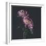 Dark Florals-Sarah Gardner-Framed Photo