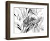 Dark Florals-Lanie Loreth-Framed Art Print