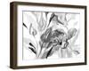 Dark Florals-Lanie Loreth-Framed Art Print