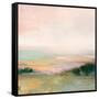 Dark Glowing Valley-Julia Purinton-Framed Stretched Canvas