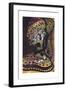 Dark Goddess, 1949-Eileen Agar-Framed Giclee Print