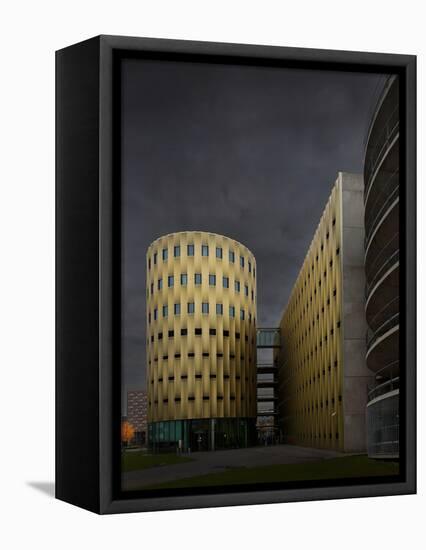 Dark Gold-Jeroen Van-Framed Stretched Canvas