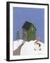 Dark Green Outhouse-Debbie McMaster-Framed Giclee Print