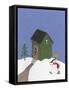 Dark Green Outhouse-Debbie McMaster-Framed Stretched Canvas