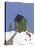 Dark Green Outhouse-Debbie McMaster-Stretched Canvas