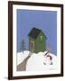 Dark Green Outhouse-Debbie McMaster-Framed Giclee Print