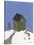 Dark Green Outhouse-Debbie McMaster-Stretched Canvas
