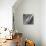 Dark Grey Splash-Albena Hristova-Stretched Canvas displayed on a wall