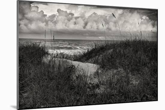 Dark Heavy Clouds Hang over the Dunes on a Beach on Hutchinson Island, Florida-Frances Gallogly-Mounted Photographic Print